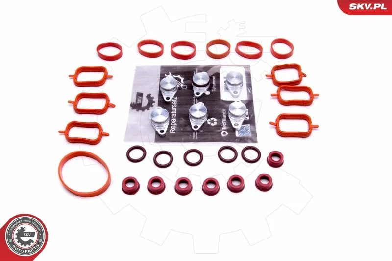 Kit de Reparação, módulo do coletor de admissão ESEN SKV 49SKV565