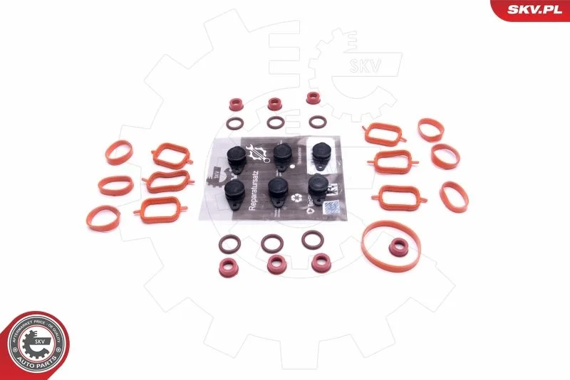Repair Kit, intake manifold module ESEN SKV 49SKV566