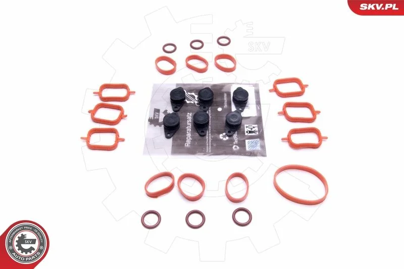 Repair Kit, intake manifold module ESEN SKV 49SKV567