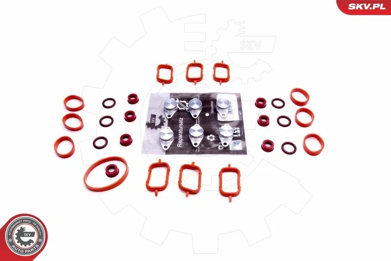 Kit de Reparação, módulo do coletor de admissão ESEN SKV 49SKV568