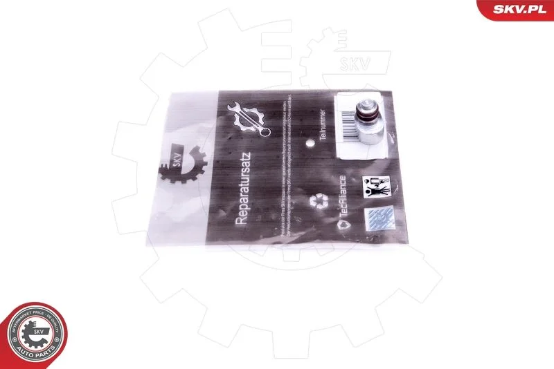 Kit de Reparação, módulo do coletor de admissão ESEN SKV 49SKV635