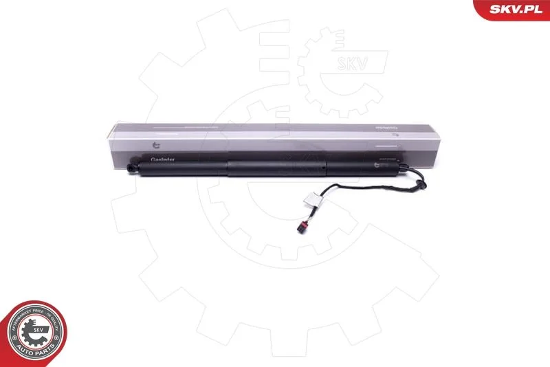 Motor Elétrico, porta traseira ESEN SKV 52SKV907