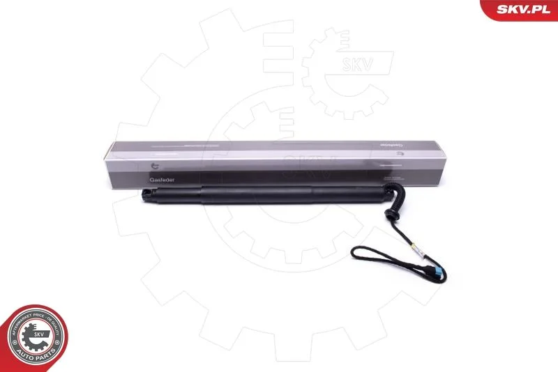 Motor Elétrico, porta traseira ESEN SKV 52SKV935