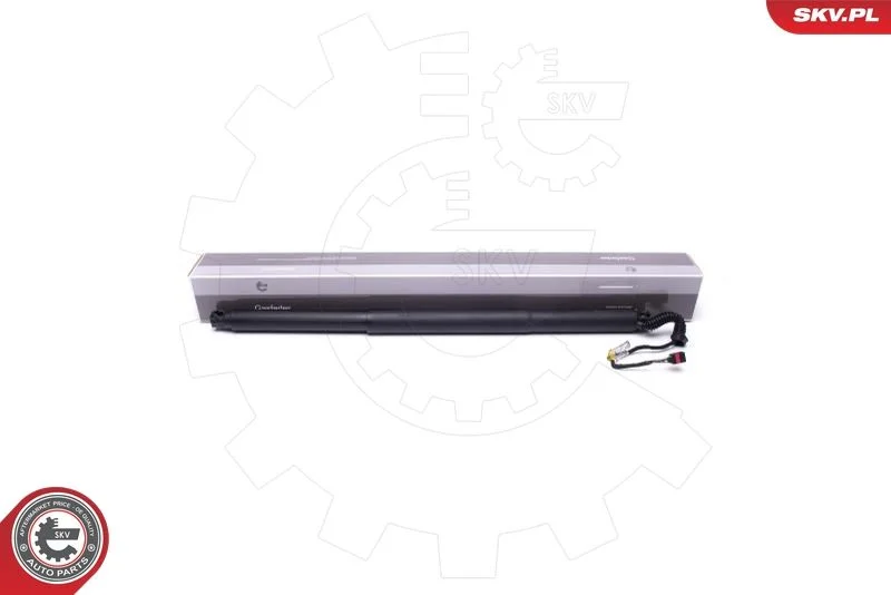 Motor Elétrico, porta traseira ESEN SKV 52SKV944