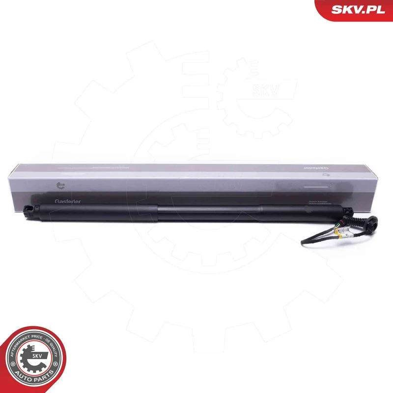 Motor Elétrico, porta traseira ESEN SKV 52SKV968