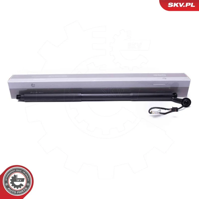 Motor Elétrico, porta traseira ESEN SKV 52SKV969