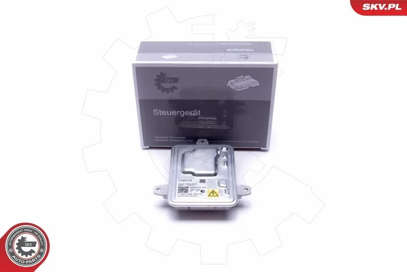 Control Unit, lights ESEN SKV 59SKV016