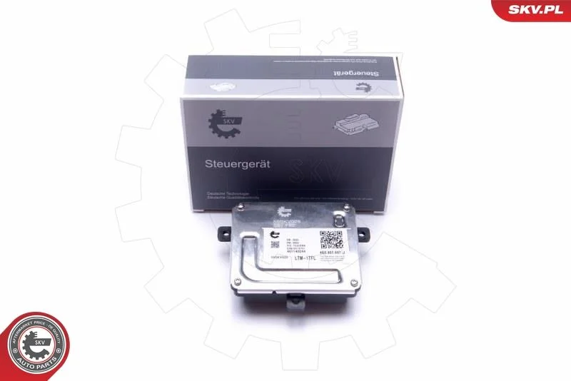 Control Unit, lights ESEN SKV 59SKV029