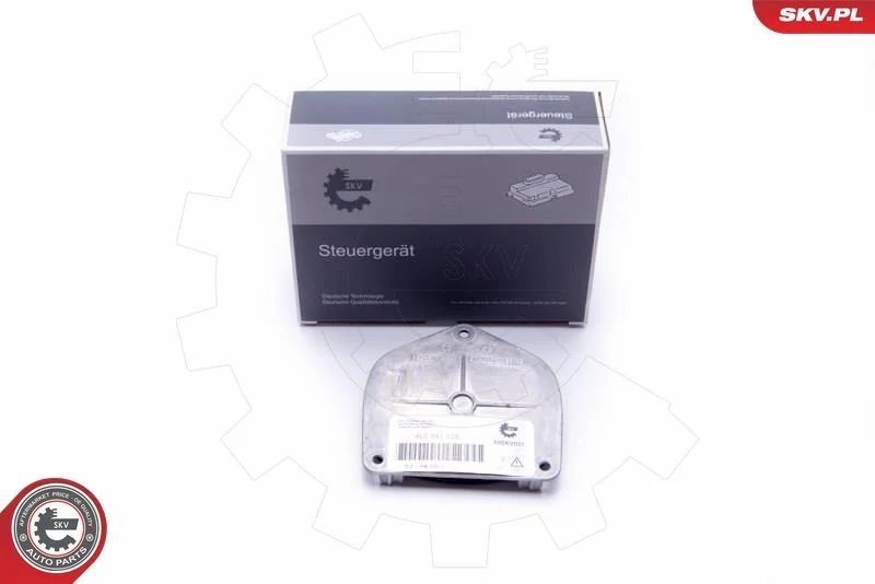 Control Unit, lights ESEN SKV 59SKV031