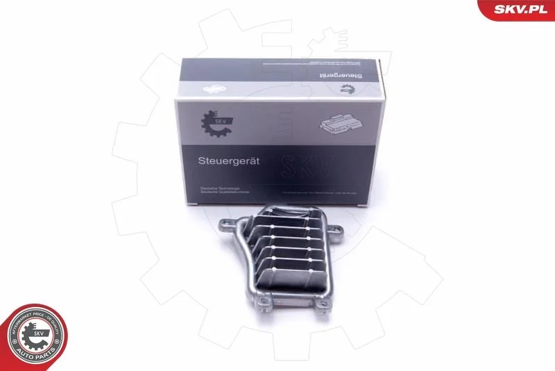 Control Unit, lights ESEN SKV 59SKV034