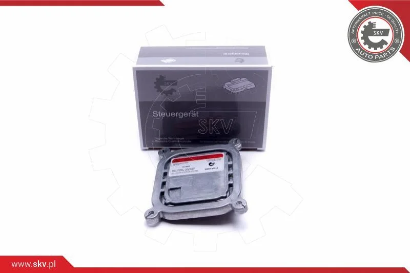Control Unit, lights ESEN SKV 59SKV035
