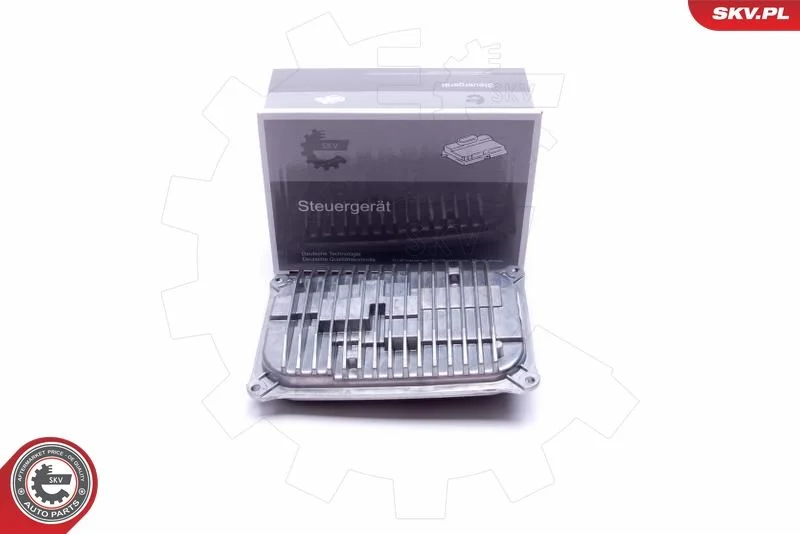 Control Unit, lights ESEN SKV 59SKV048