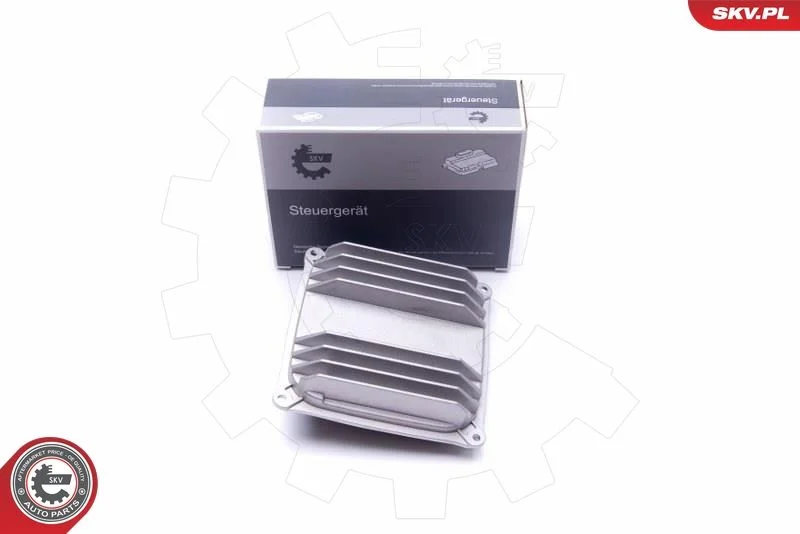 Control Unit, lights ESEN SKV 59SKV051