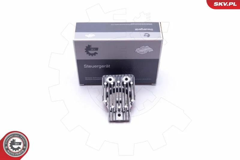 Control Unit, lights ESEN SKV 59SKV068