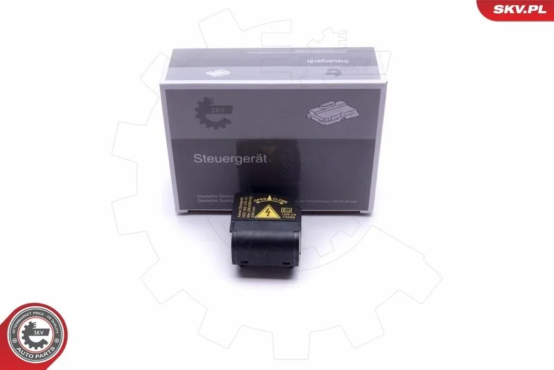 Control Unit, lights ESEN SKV 59SKV069