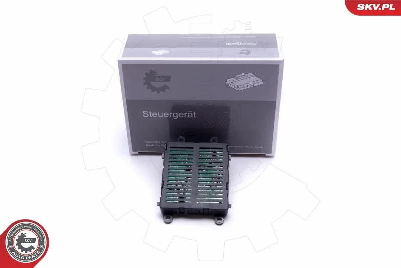Control Unit, lights ESEN SKV 59SKV097