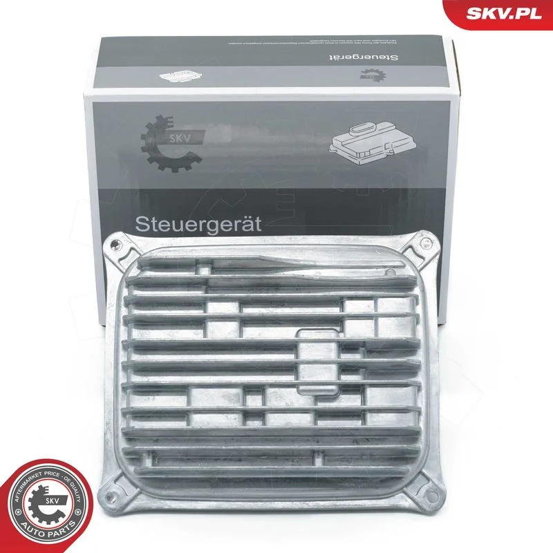 Control Unit, lights ESEN SKV 59SKV184
