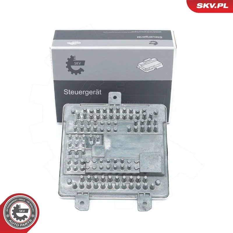 Control Unit, lights ESEN SKV 59SKV194