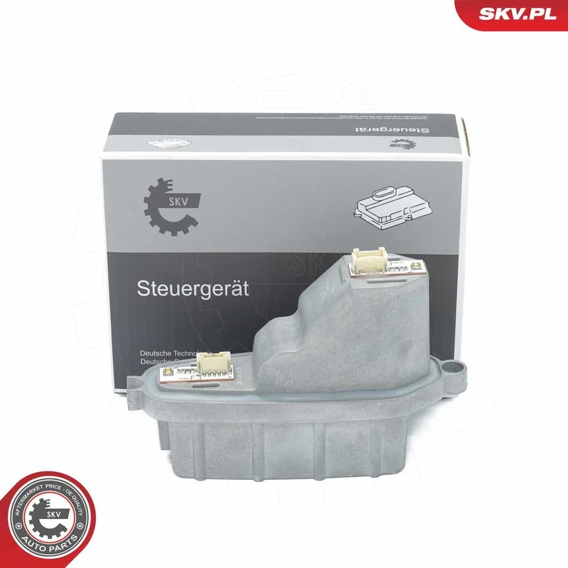 Control Unit, lights ESEN SKV 59SKV218