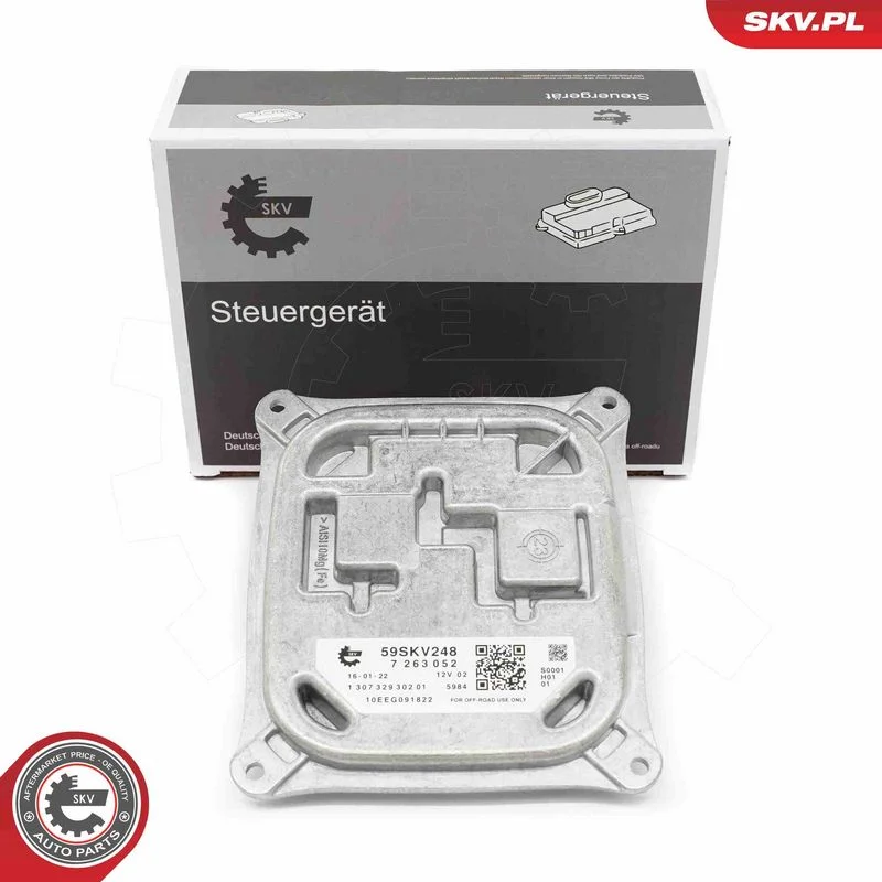 Control Unit, lights ESEN SKV 59SKV248