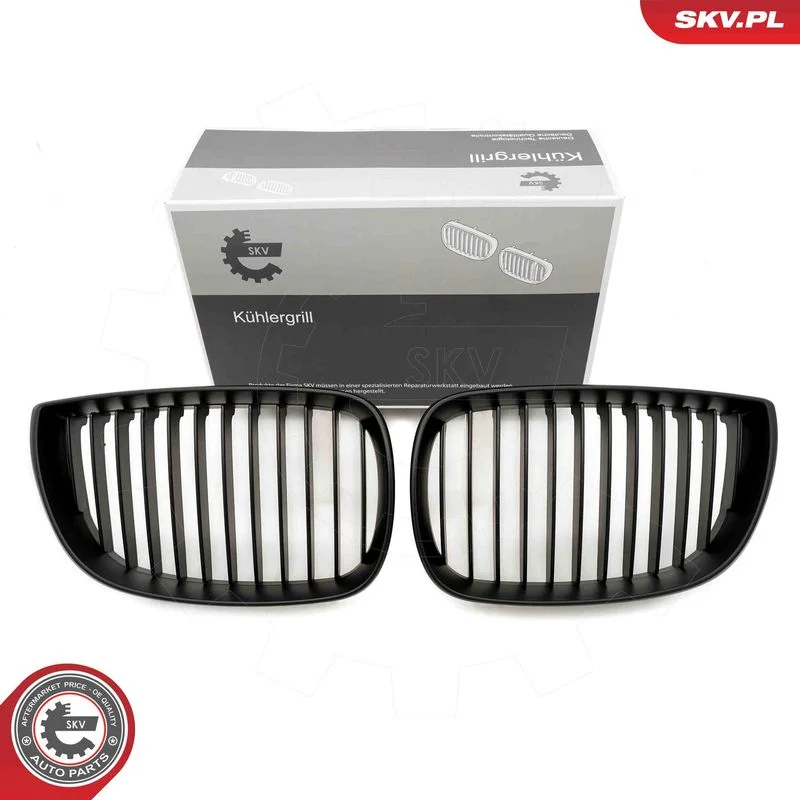 Radiator Grille ESEN SKV 66SKV003