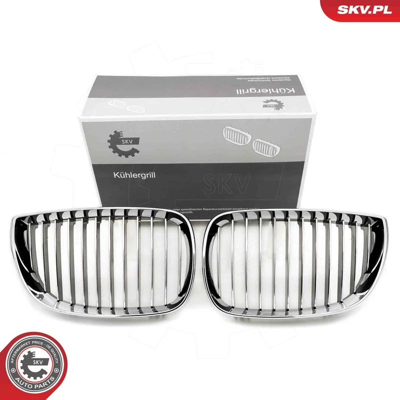 Grelha do radiador ESEN SKV 66SKV004