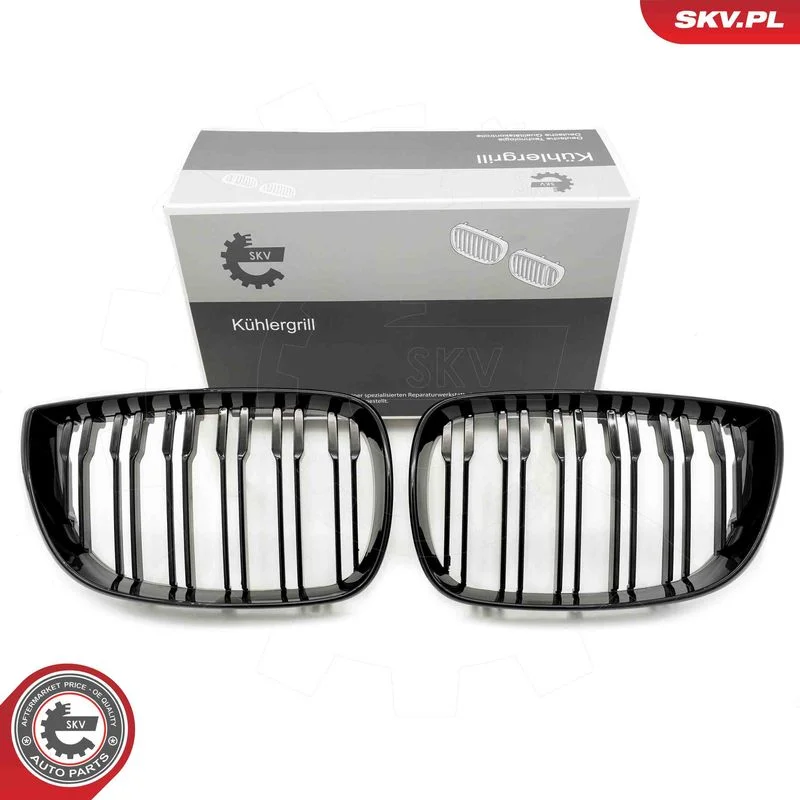 Radiator Grille ESEN SKV 66SKV005