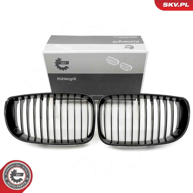 Grelha do radiador ESEN SKV 66SKV006