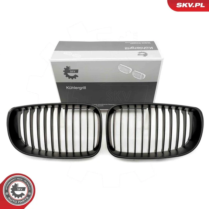 Grelha do radiador ESEN SKV 66SKV008