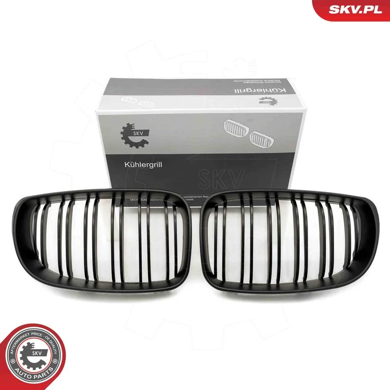 Radiator Grille ESEN SKV 66SKV011