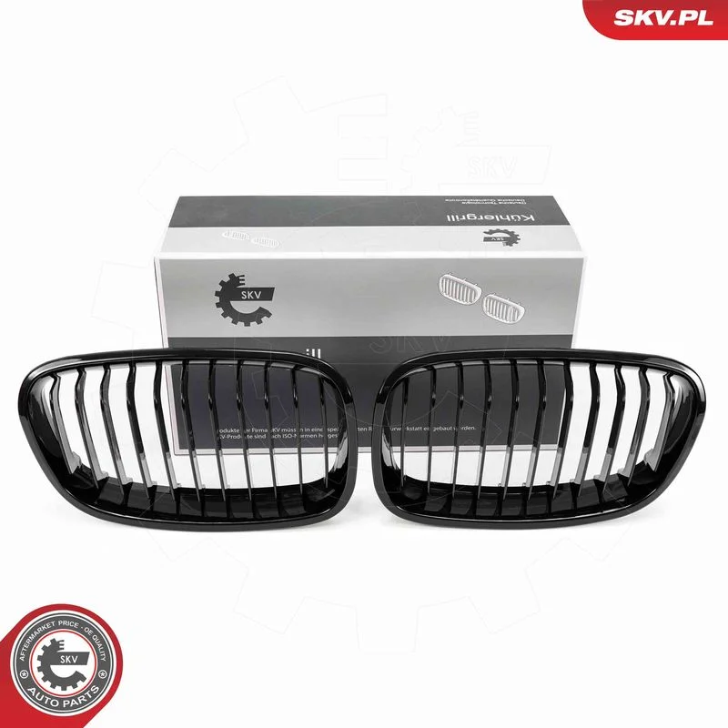 Radiator Grille ESEN SKV 66SKV012