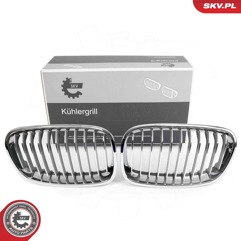 Radiator Grille ESEN SKV 66SKV015