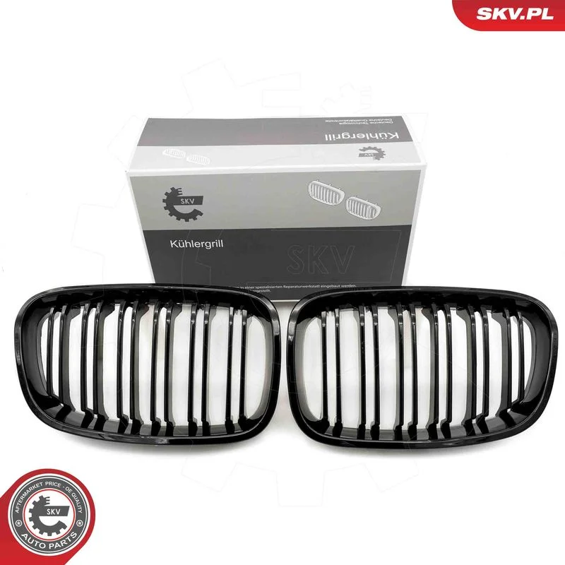 Radiator Grille ESEN SKV 66SKV016
