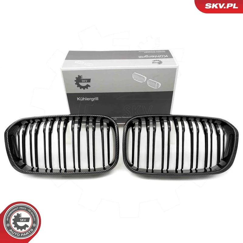 Grelha do radiador ESEN SKV 66SKV019