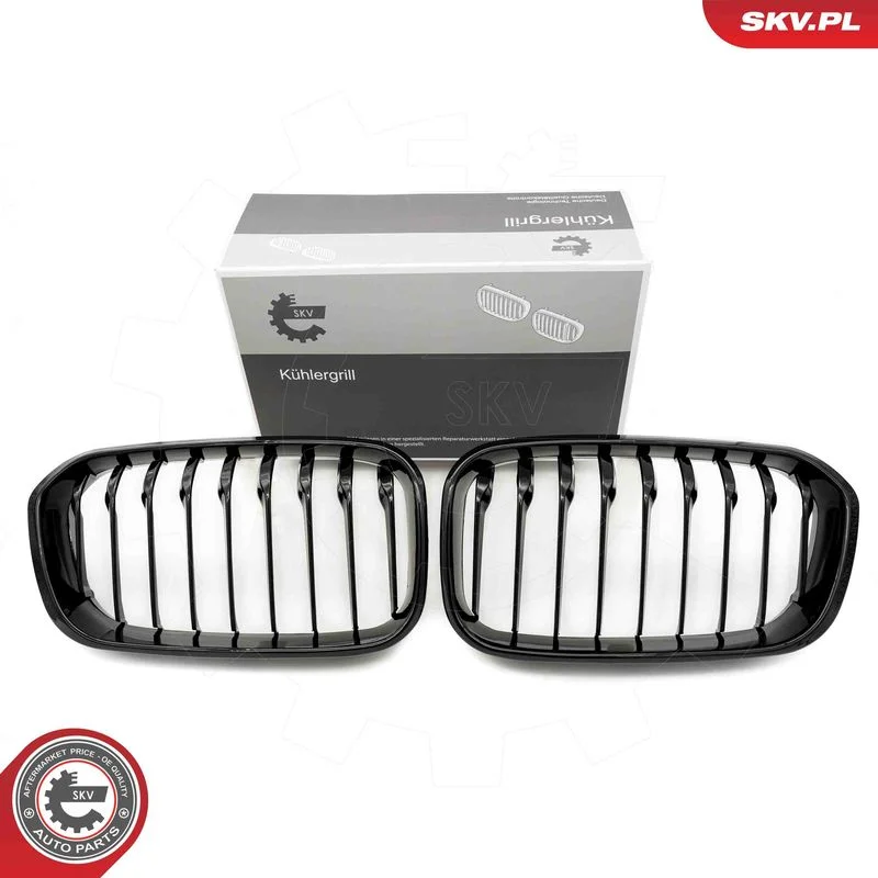 Grelha do radiador ESEN SKV 66SKV020