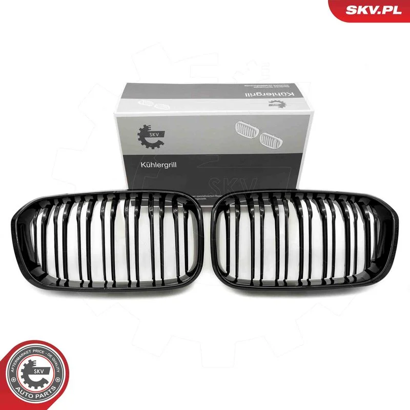 Radiator Grille ESEN SKV 66SKV021
