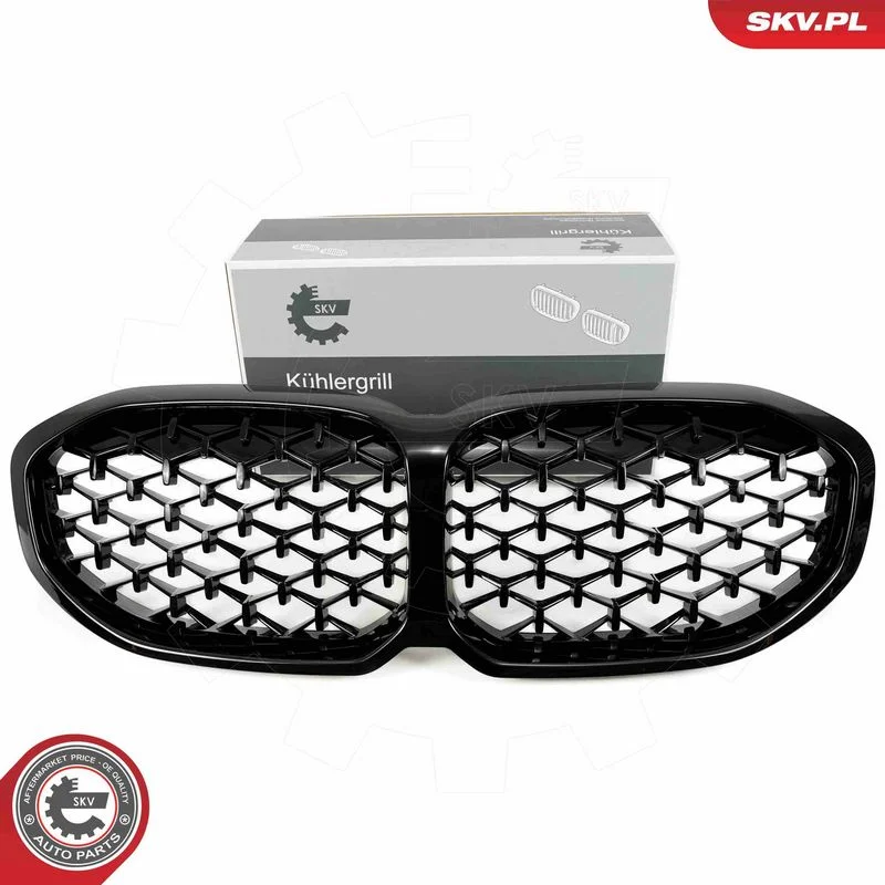 Grelha do radiador ESEN SKV 66SKV027