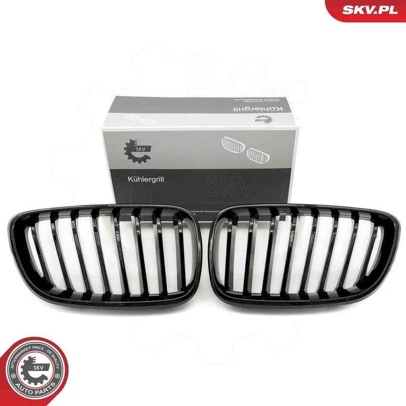Radiator Grille ESEN SKV 66SKV029