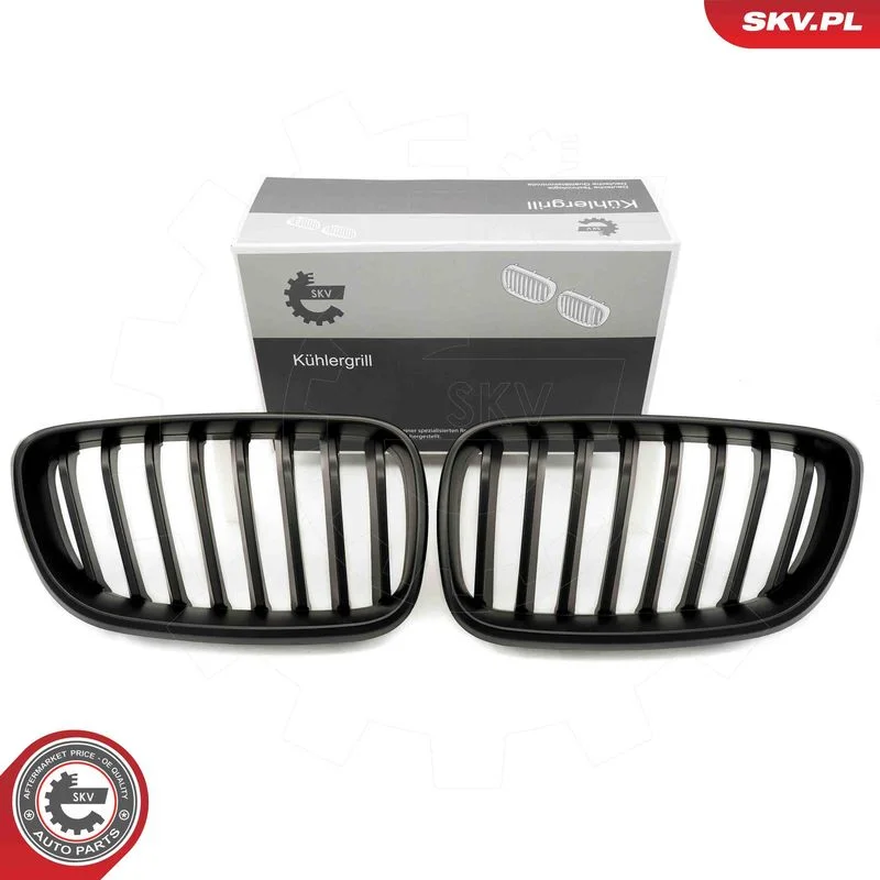 Grelha do radiador ESEN SKV 66SKV030