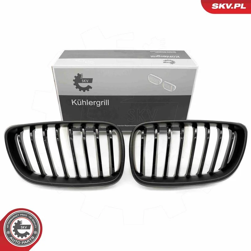 Radiator Grille ESEN SKV 66SKV031