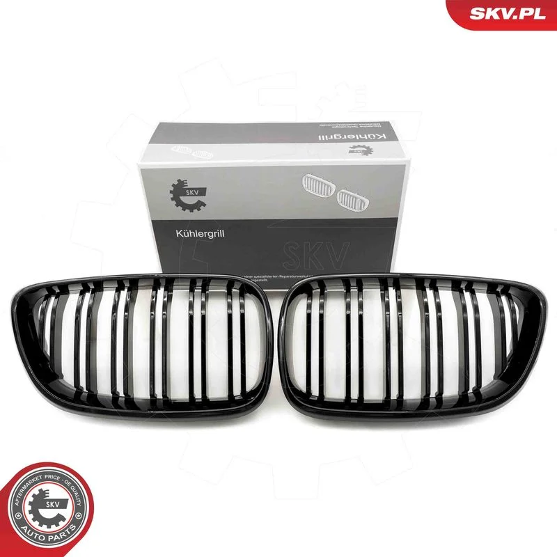 Grelha do radiador ESEN SKV 66SKV032