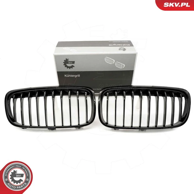 Radiator Grille ESEN SKV 66SKV039