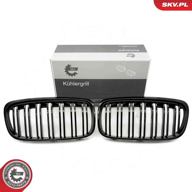 Radiator Grille ESEN SKV 66SKV040