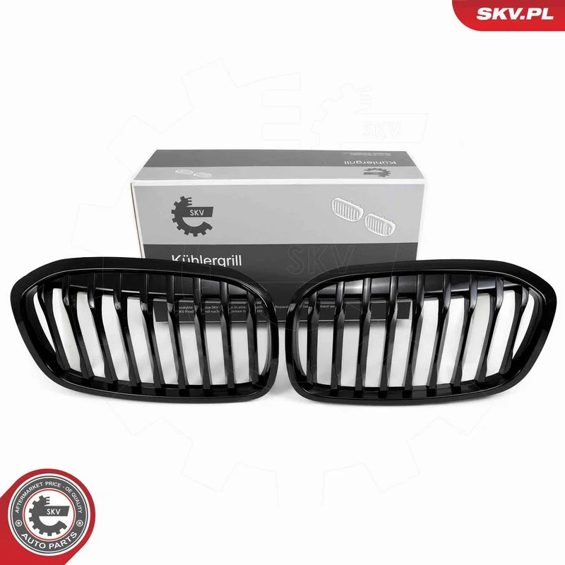 Grelha do radiador ESEN SKV 66SKV041