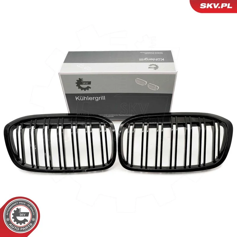 Radiator Grille ESEN SKV 66SKV042