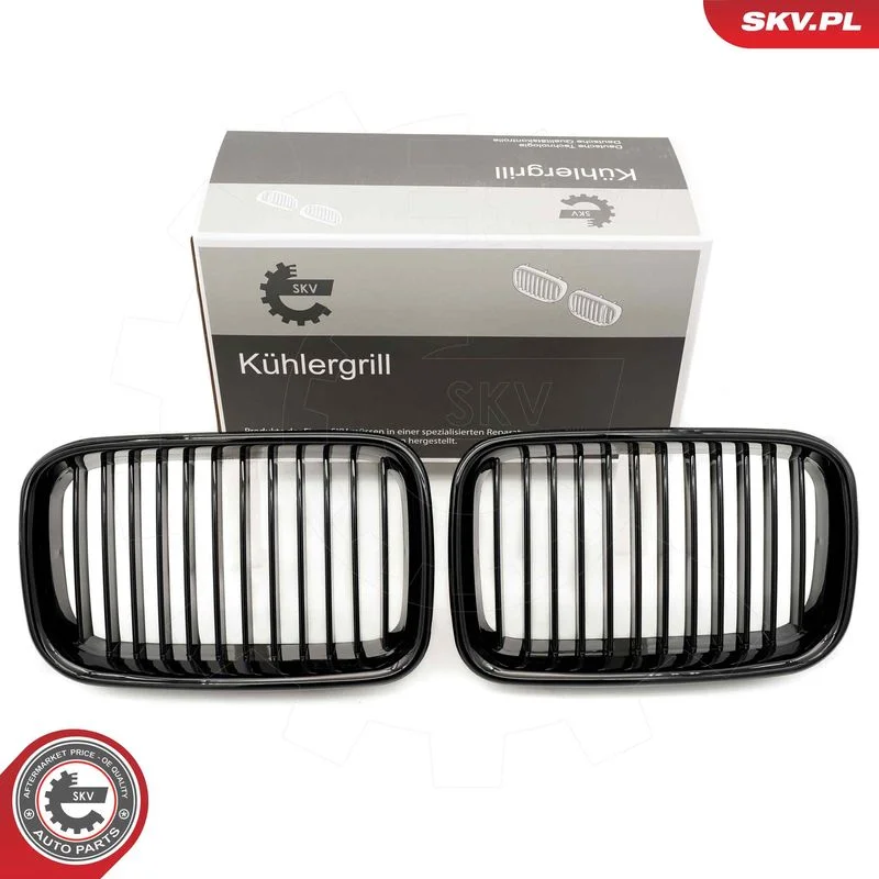 Radiator Grille ESEN SKV 66SKV043