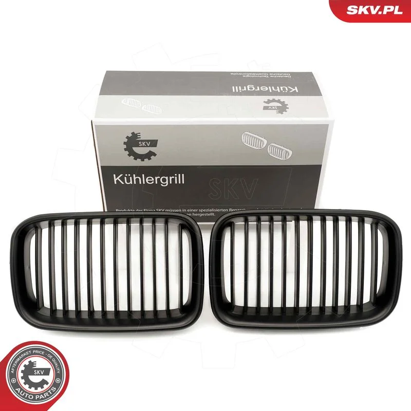 Radiator Grille ESEN SKV 66SKV046