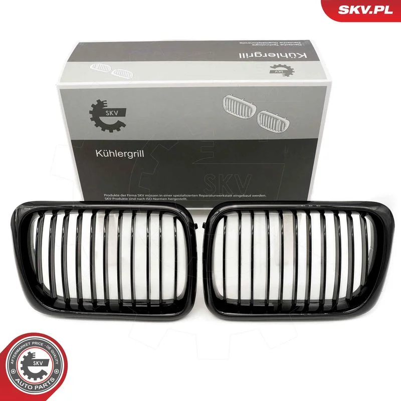 Radiator Grille ESEN SKV 66SKV049