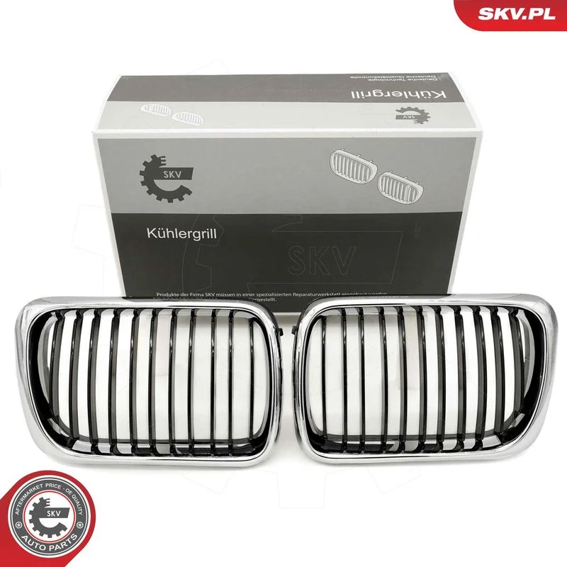 Radiator Grille ESEN SKV 66SKV053