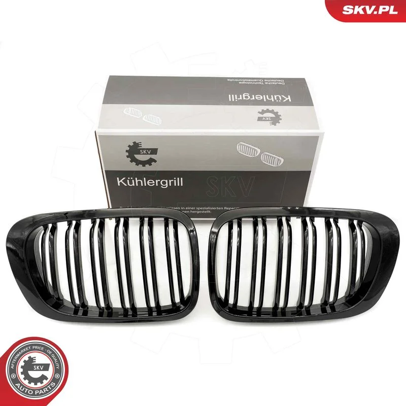 Radiator Grille ESEN SKV 66SKV059